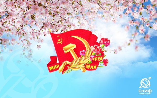 Открытки с 1 мая тюльпаны