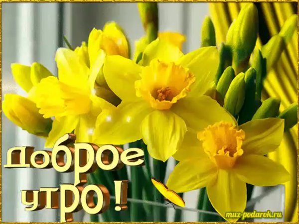 Пожелания доброго весеннего утра