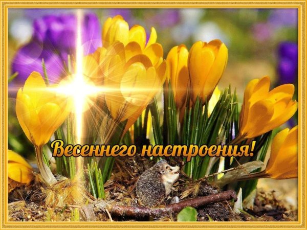 С добрым весенним субботним утром