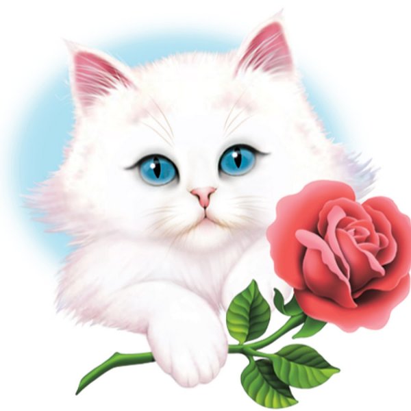 Котенок дарит цветы