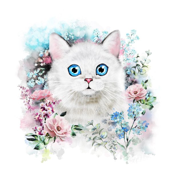 Подарок для кошки