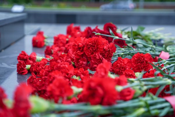 День памяти и скорби цветы