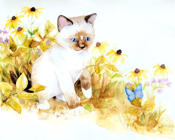 Котенок с цветами