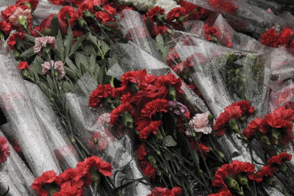 Красные гвоздики на 9 мая