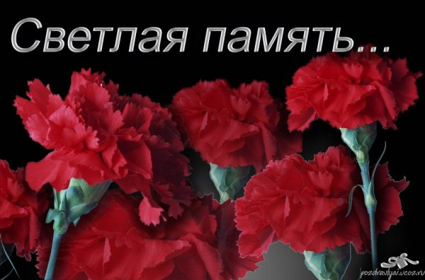 Светлая память цветы
