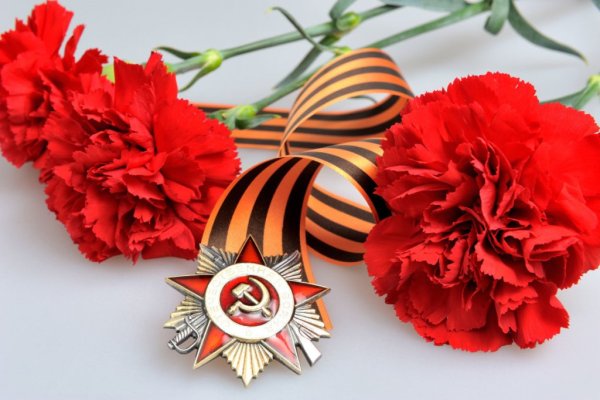 Георгиевская ленточка с гвоздикой