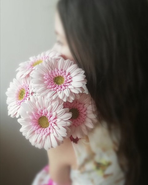 Цветы для фотографий WHATSAPP
