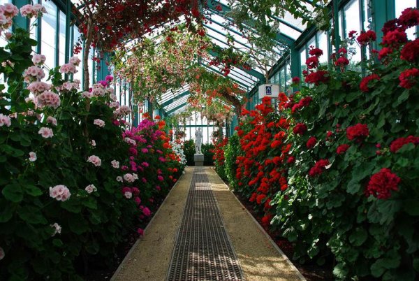 Phipps Conservatory and Botanical Gardens Питтсбург
