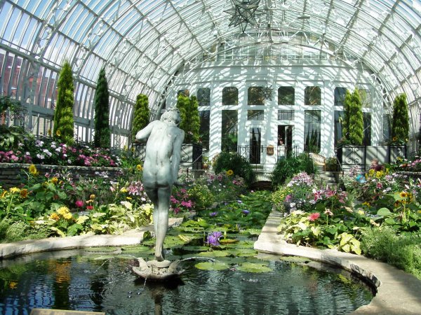 Королевские Ботанические сады Кью