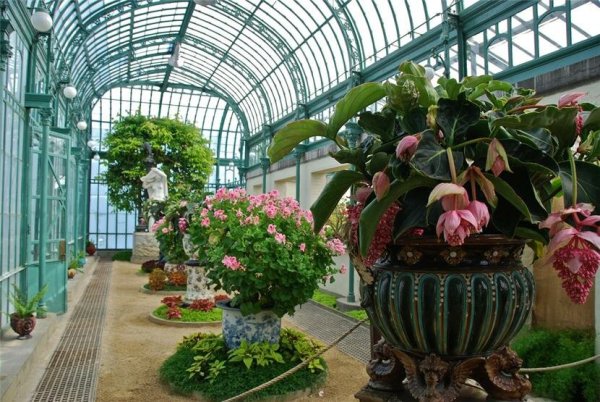 Вилла Мария Англия оранжерея