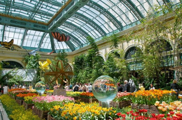 Таврический сад в Санкт-Петербурге оранжерея
