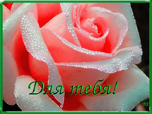Цветы для Леночки