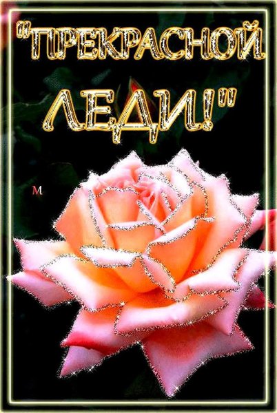 Цветы для Леночки