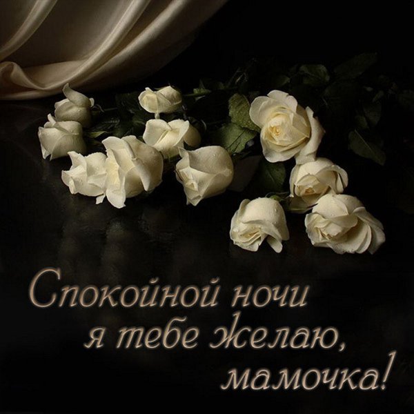 Открытка спокойной ночи с белыми розами