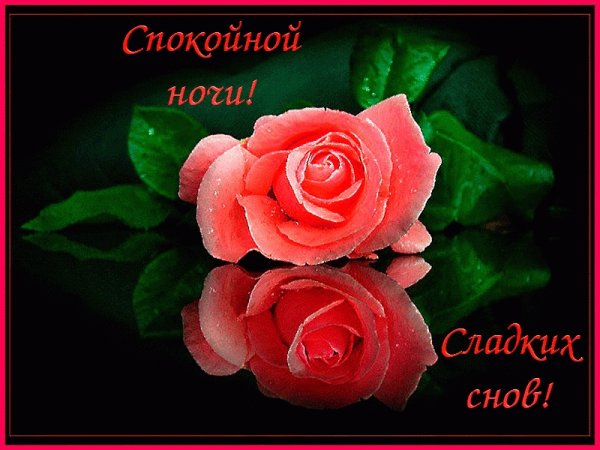 Спокойной ночи с цветами