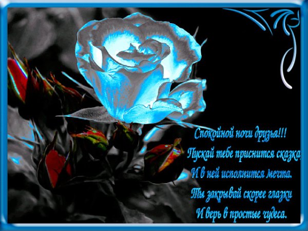 Цветы с пожеланием спокойной ночи