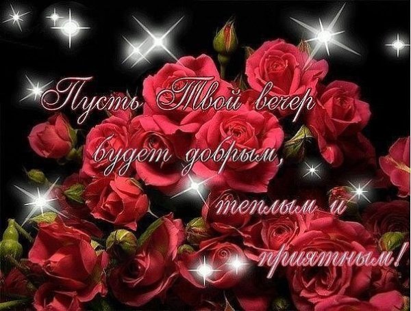 Пожелание спокойной ночи с букетом роз