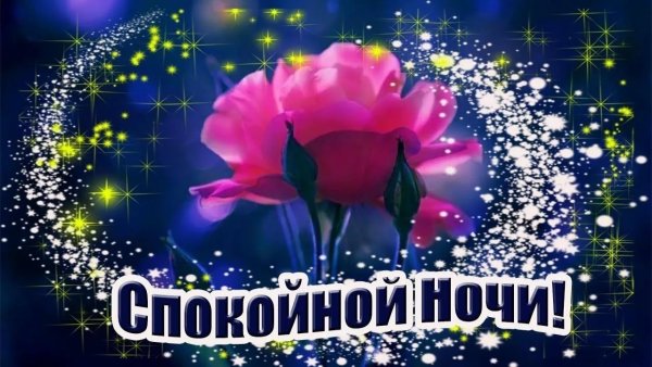 Спокойной ночи цветы с надписью