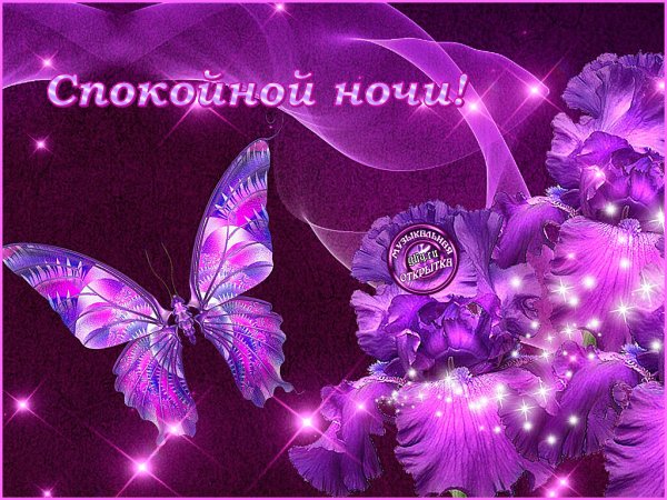 Фиолетовая тема