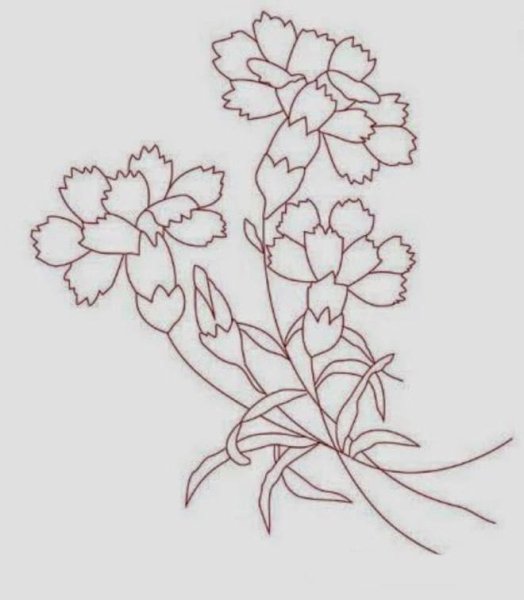 Гвоздика для вырезания к 9 мая