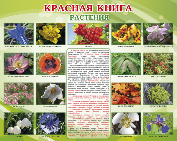 Растения красной книги Росси