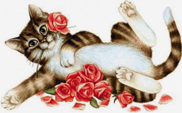 Спокойной ночи сладких снов