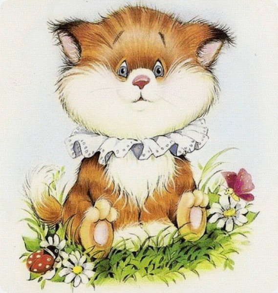 Открытка "кот"