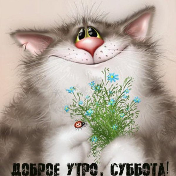 Открытки с кисками