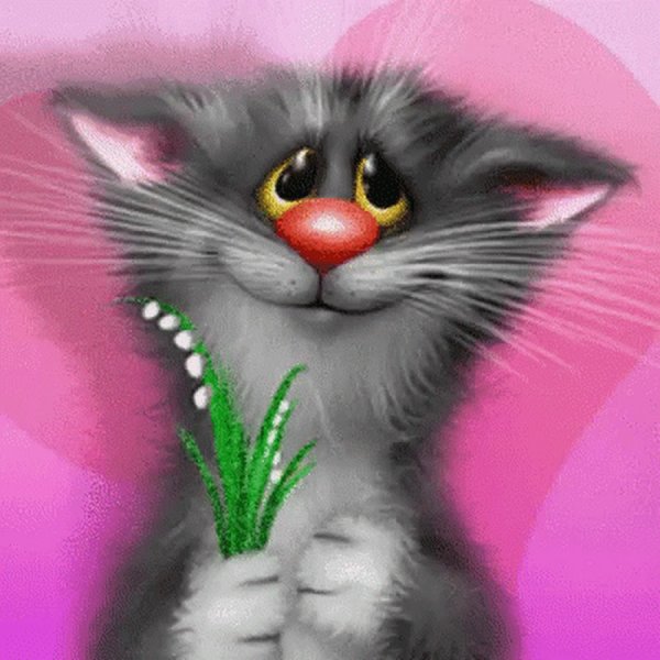 Кот и цветы