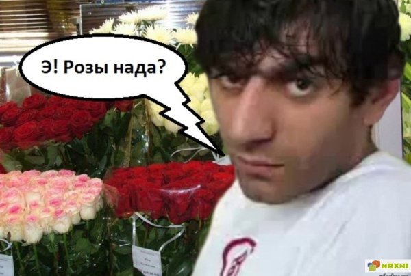 Роза в зубах