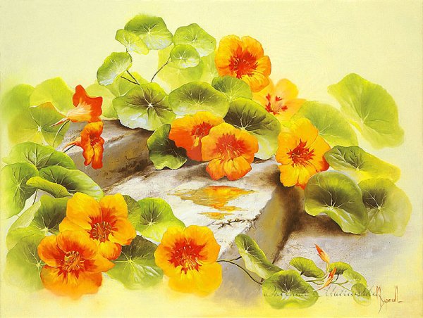Художник Мэри Дипнолл