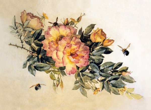 Jan Harbon картины