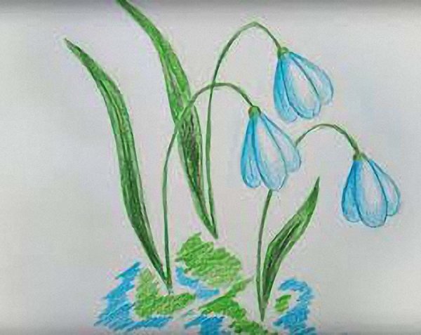 Рисование первых весенних цветов