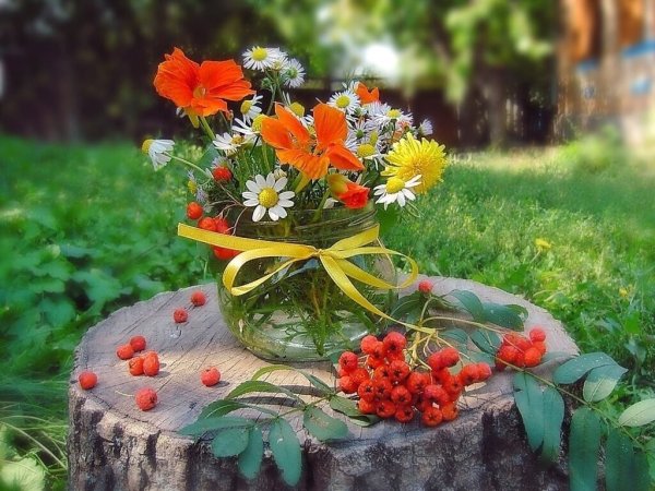 Осень цветы