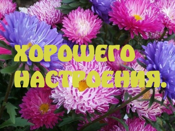 Астра надпись