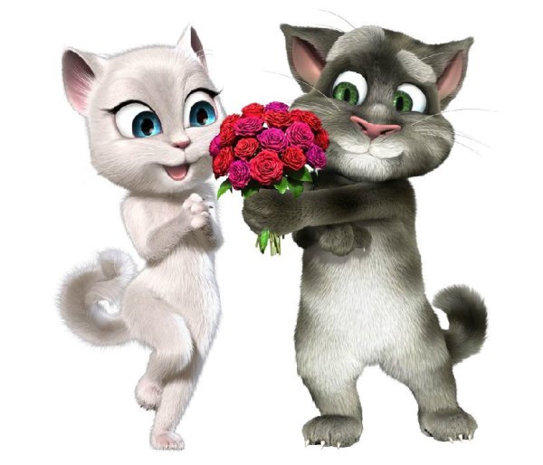 Кот том и Анжела