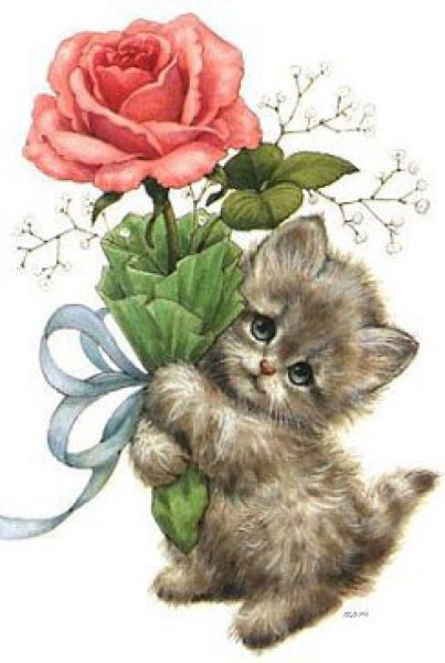 Кот с цветами