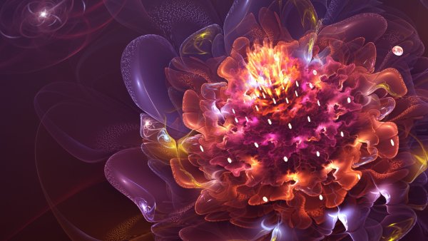 Фантастические цветы