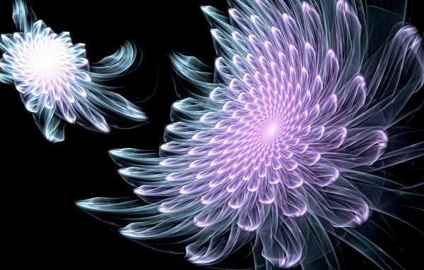Magic Flower