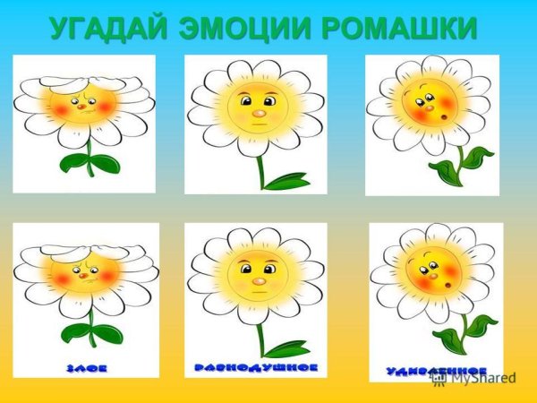Ромашка для детей