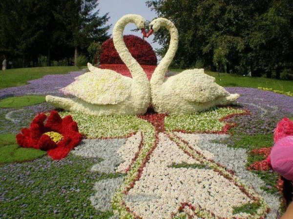 Бабочка из цветов
