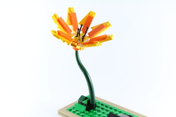LEGO 21301