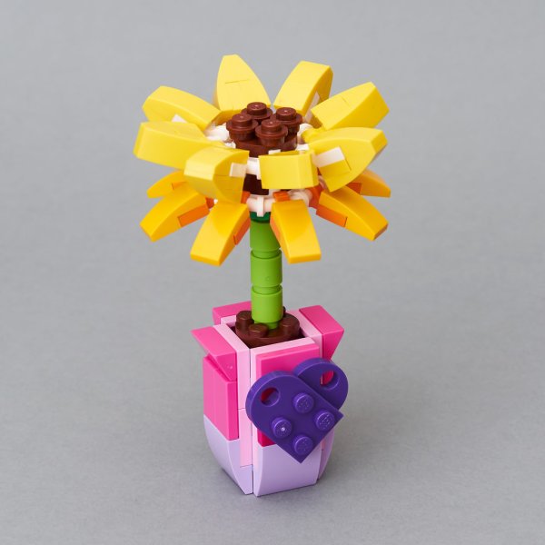 LEGO friends 30404