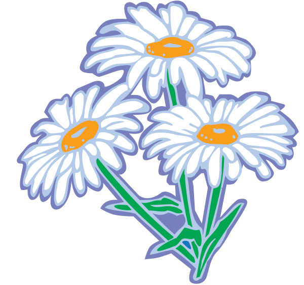 Ромашка мультяшная
