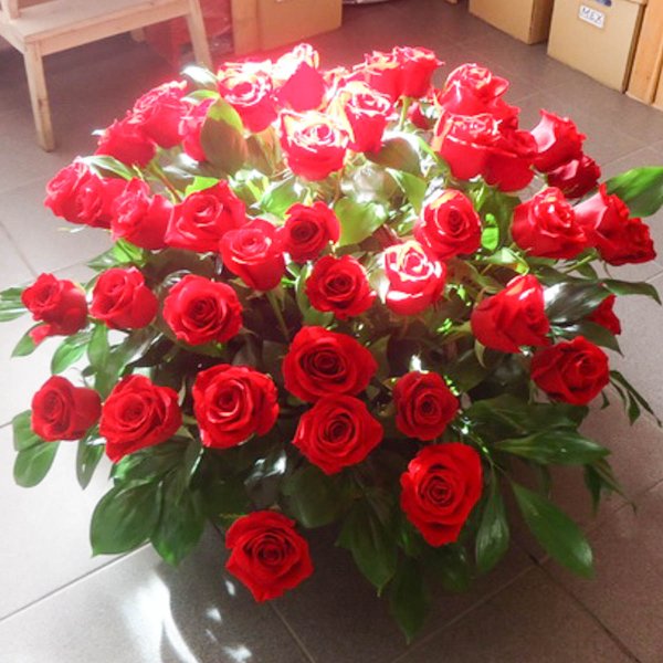 Букет живых роз