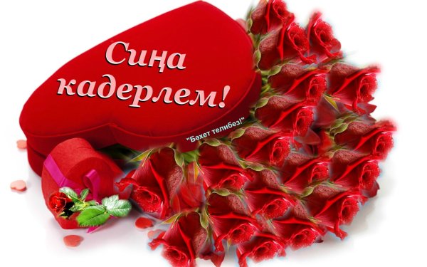 Я тебя люблю на татарском