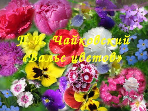 Вальс цветов рисунок