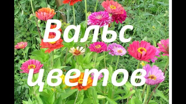 Вальс цветов Чайковский