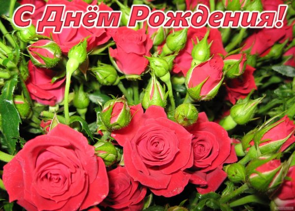 Цветы красиво