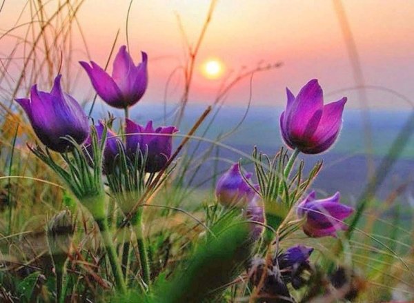 Доброго весеннего вечера природа